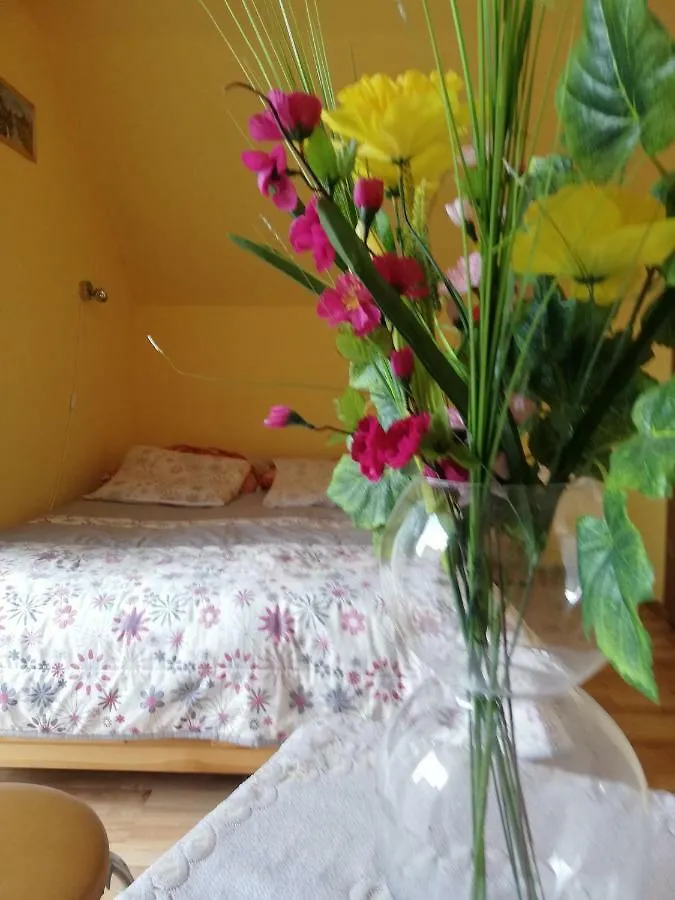 U Kasprow Apartment Zakopane Homestay